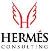 hermes consulting nigeria